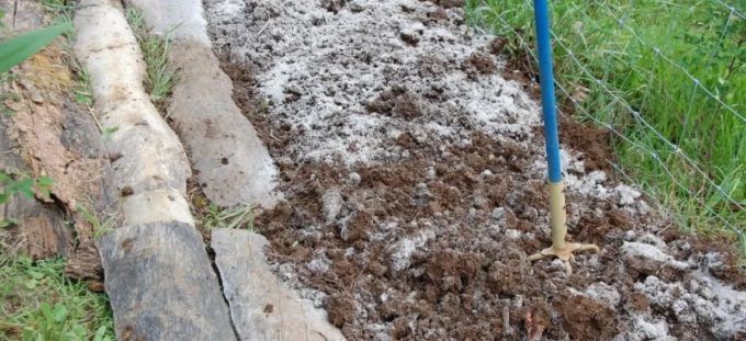 Внесение золы весной Внесение золы весной